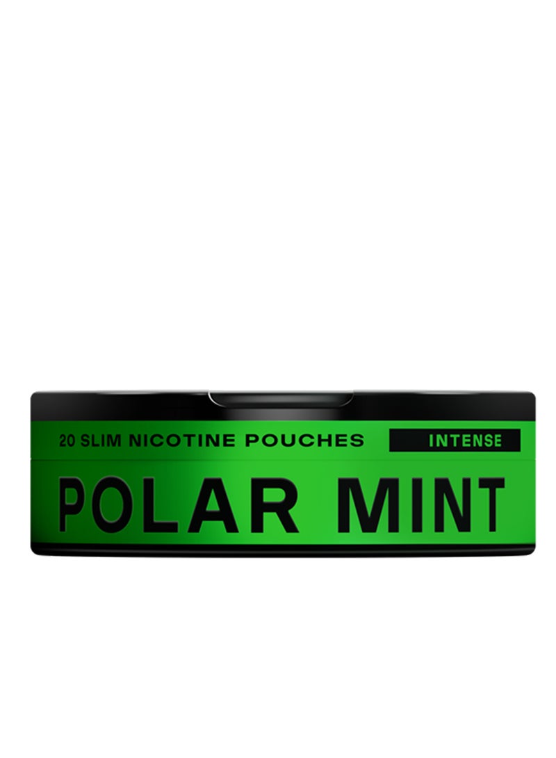 Velo Mini Polar Mint 20 x 6mg - Image 2